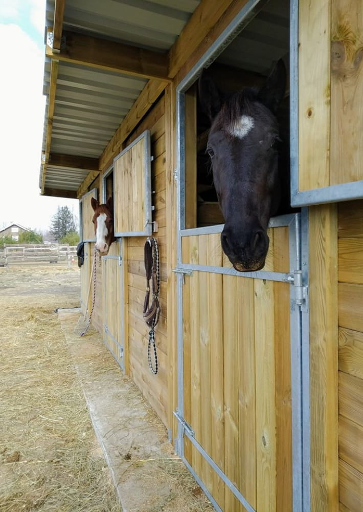 La Ferme Equestre des Pêches La Drôme Tourisme